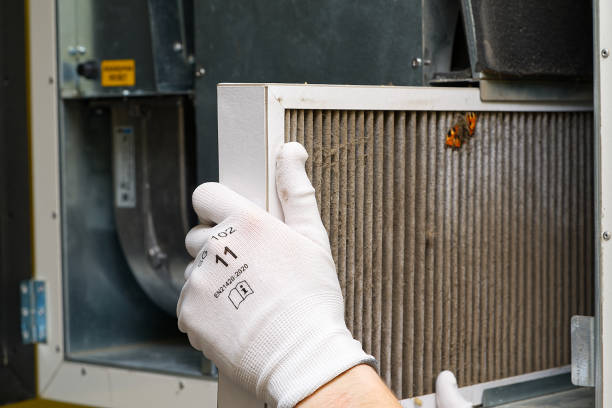 Best Home Air Vent Cleaning  in Ridgeland, SC